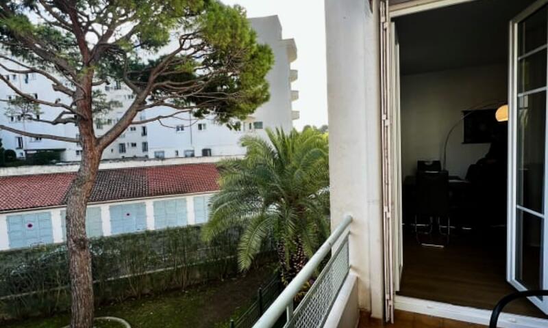 Résidence Selvosa : Appartement 1 Chambre Au Coeur De Cannes - - Cannes - 5