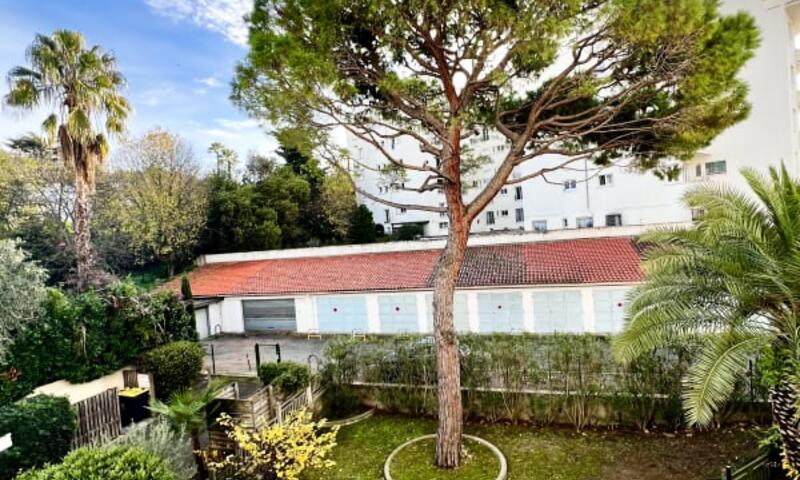 Résidence Selvosa : Appartement 1 Chambre Au Coeur De Cannes - - Cannes - 6