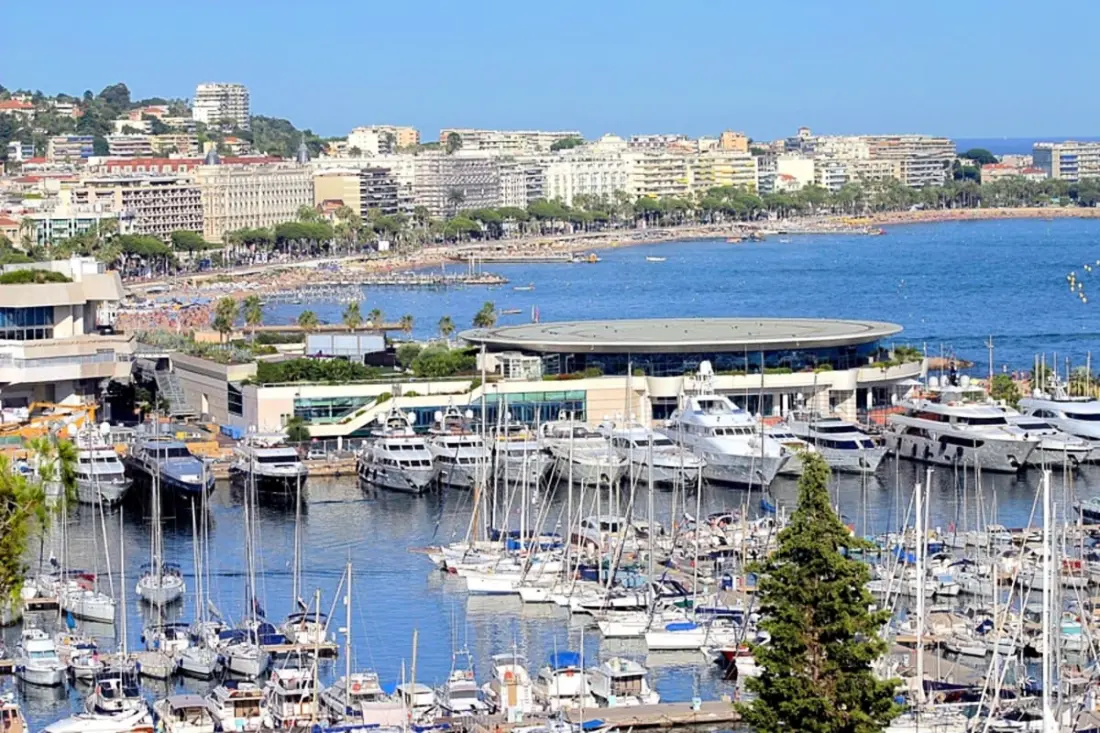 Palais &amp; Croisette 1 Mn, 2 Pièces Spacieux Avec Balcon - Olam Properties