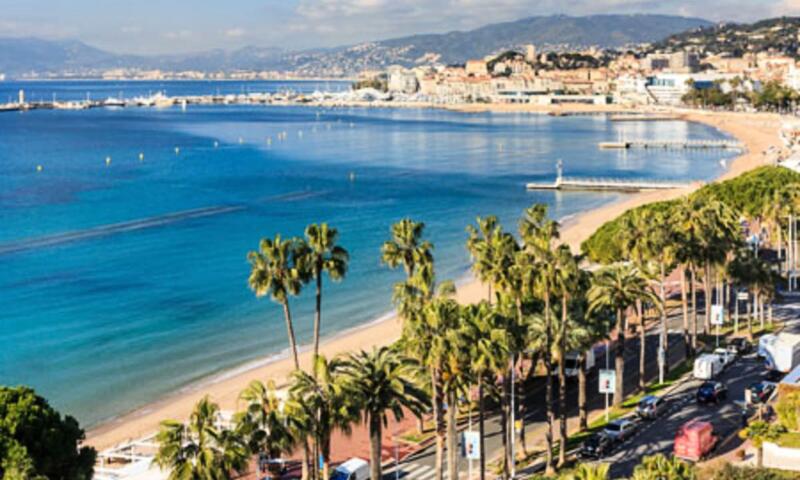 Résidence Grand 2 Pièces, Bv De La Croisette Palm Beach, Face Bijou Plage ☀st James☀ - - Cannes - 17