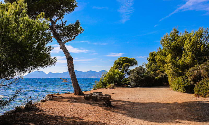 Résidence Grand 2 Pièces, Bv De La Croisette Palm Beach, Face Bijou Plage ☀st James☀ - - Cannes - 15