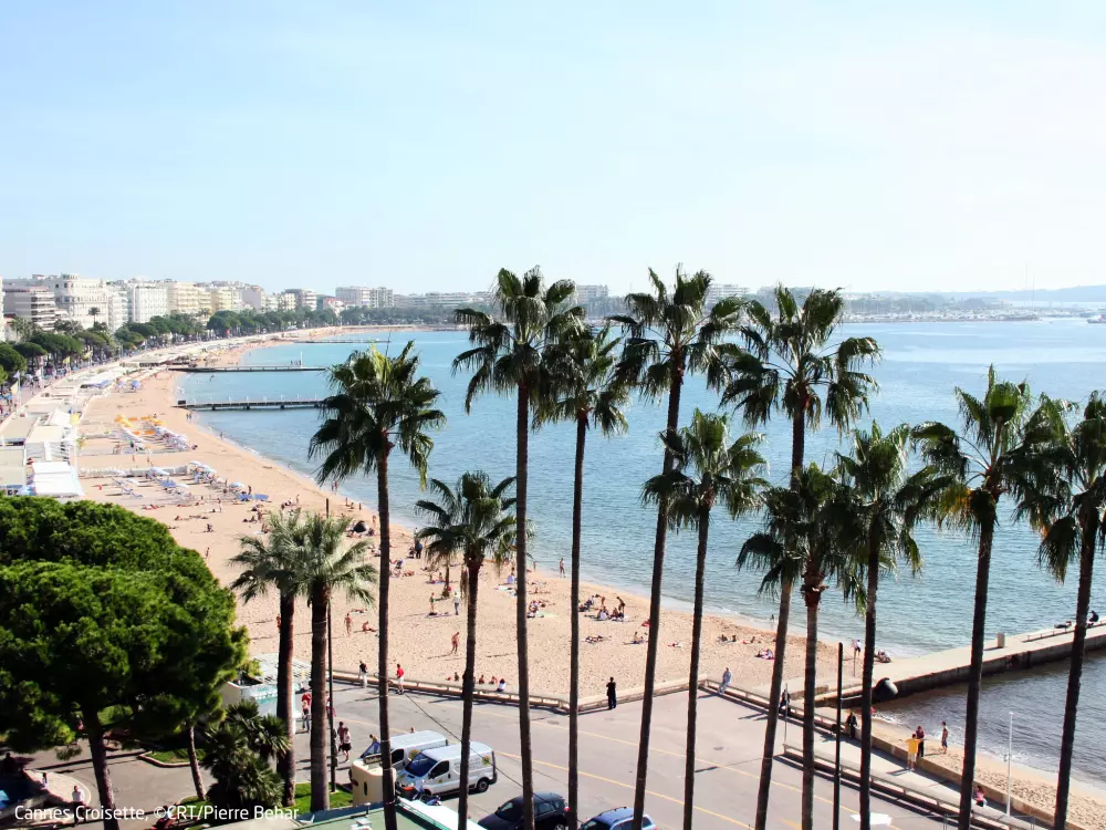 Résidence Royal Palm
