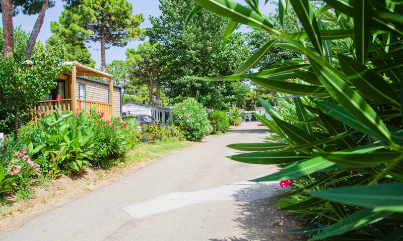 France - Méditerranée Ouest - Agde - Cap d'Agde - Camping Les Jardins d'Agathe 4*