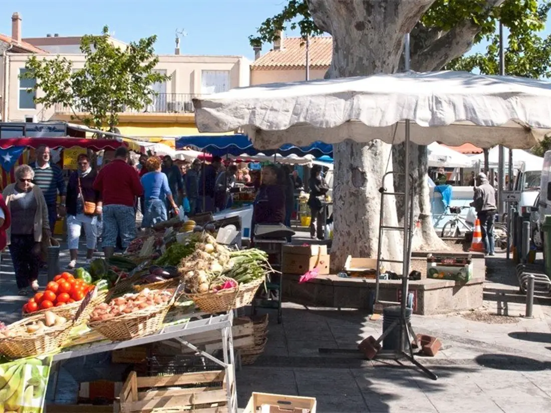 Location de Vacances Le Grau d'Agde 37