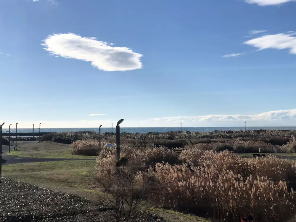 Résidence Les terrasses de la Plage