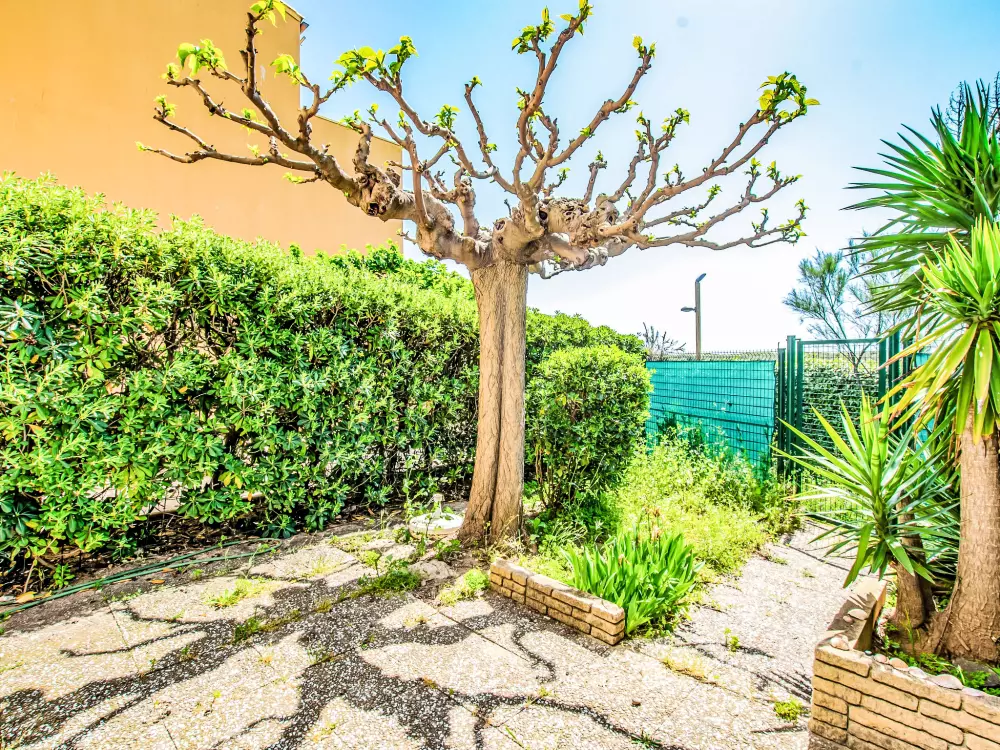 Résidence Les terrasses de la Plage