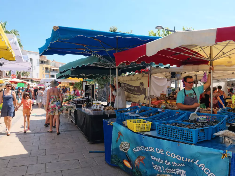 Résidence Les terrasses de la Plage