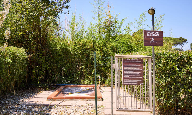 Camping Village Club Costa d'Argento *** - - Capalbio - 5