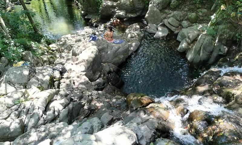 Camping Village La Chiocciola *** - Capannole - 22