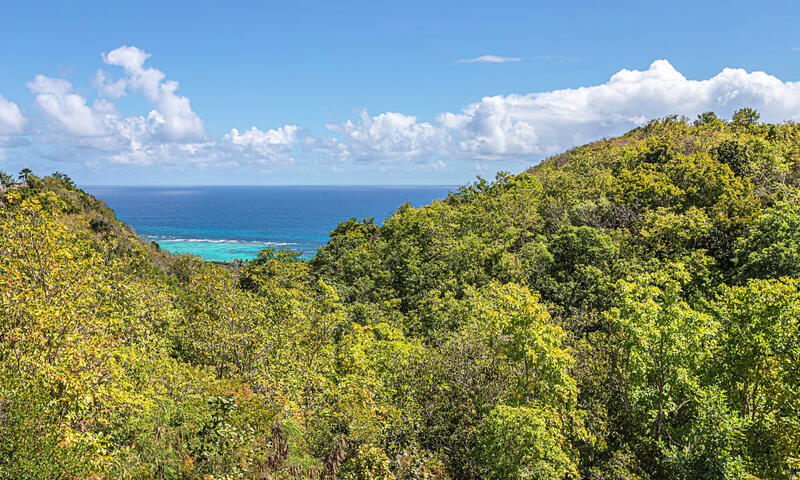 Villa Mélina - - Capesterre de Marie Galante - 3
