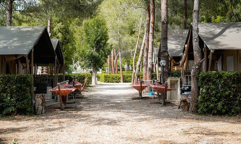 Camping Village Casa dei Prati **** - Capoliveri (Elba) - 36