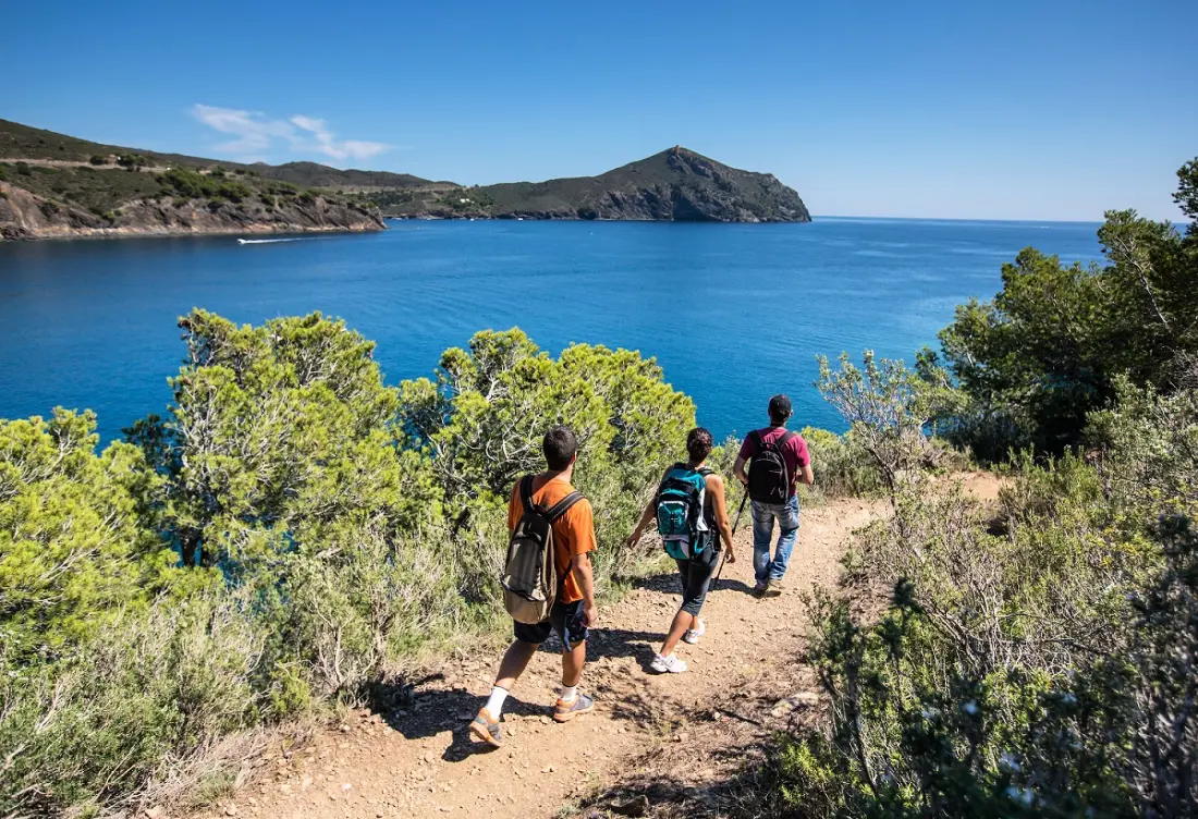Camping Torraccia 31 étoiles★ - 2A