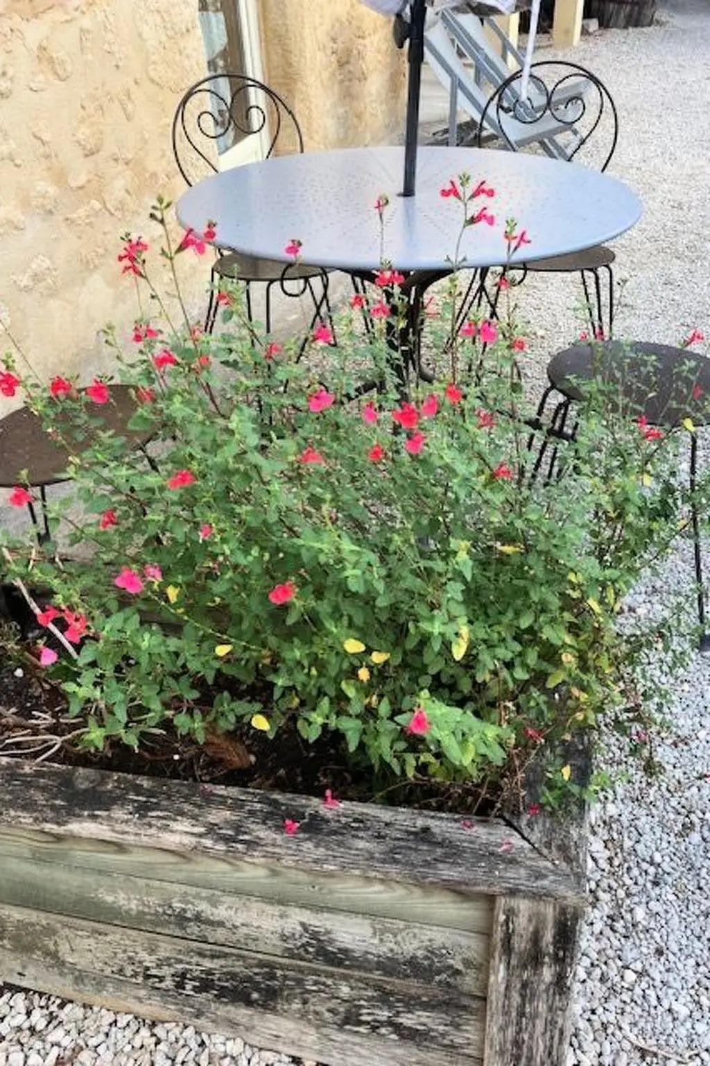 Maison de Vacances Carlux