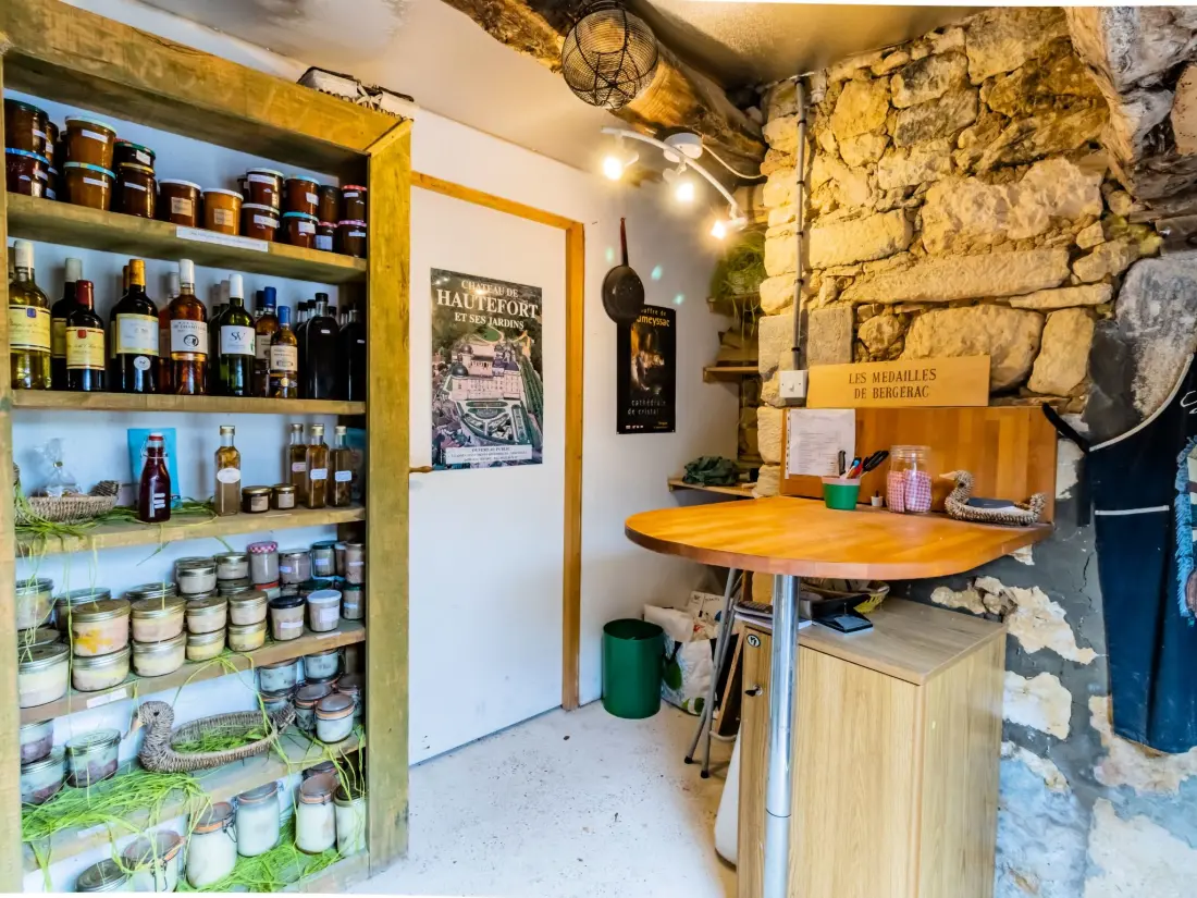Maison de Vacances Carlux