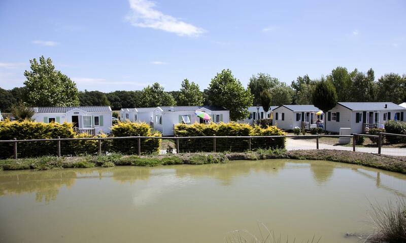 Camping Domaine de Kermario - Carnac - 14