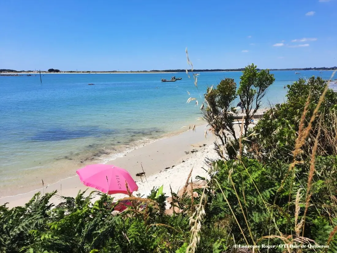 Location de Vacances Carnac 191