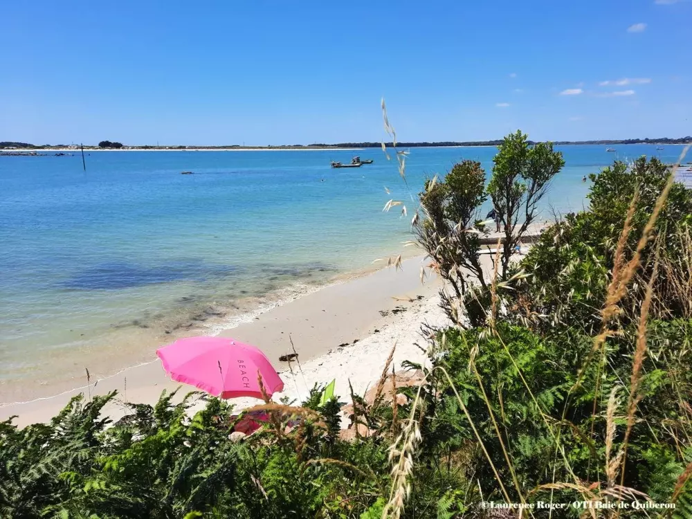 Location de Vacances Carnac 71