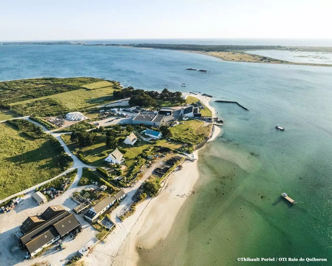 Résidence Le Britannia - Carnac - 21