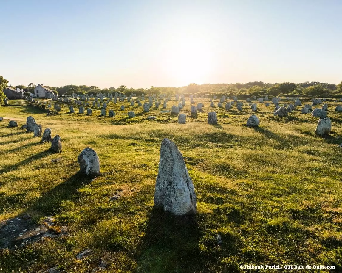 Résidence Le Britannia - Carnac - 19