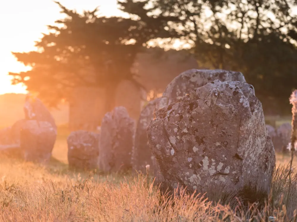 Résidence Les Reflets de Carnac