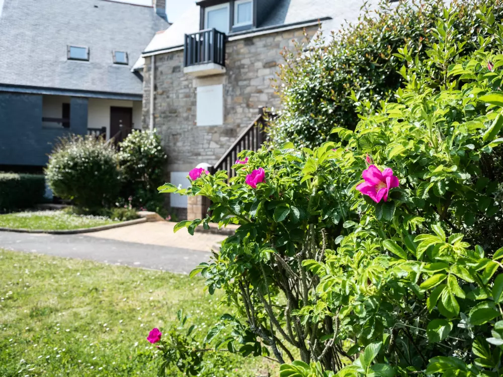 Résidence Maison Port En Dro