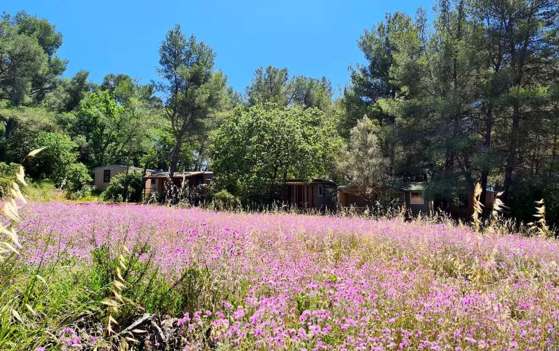 Camping Le BeauVezé 4 étoiles★★★★