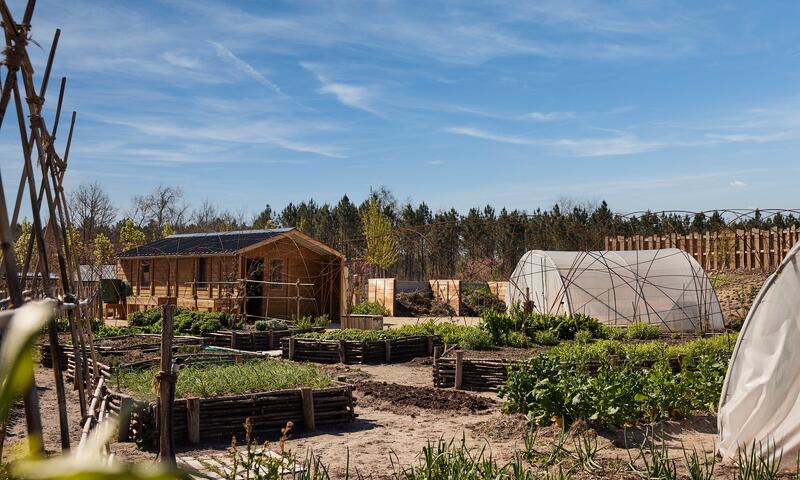 France - Sud Ouest - Beauziac - Center Parcs - Les Landes de Gascogne