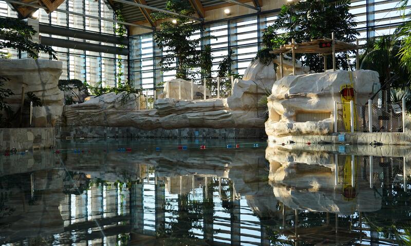 Center Parcs - Les Landes de Gascogne - 4