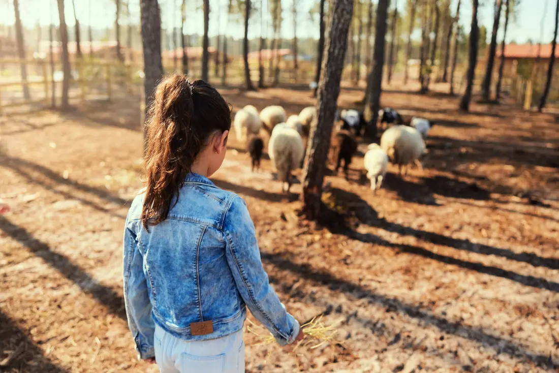 Center Parcs - Les Landes de Gascogne