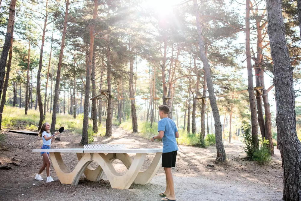 RCN les Collines de Castellane 4 étoiles★★★★