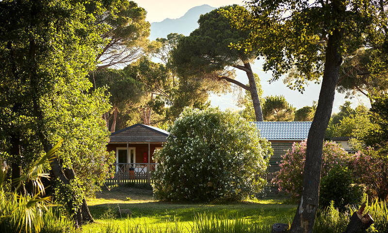 Camping Domaine d'Anghione - Castellare Di Casinca - Corse - 17