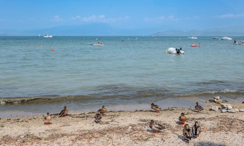 Camping Gasparina - - Castelnuovo del Garda - 11