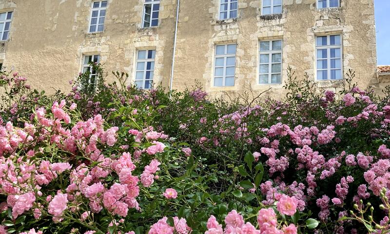 Hôtel Château de Mons en Armagnac - Caussens - 3