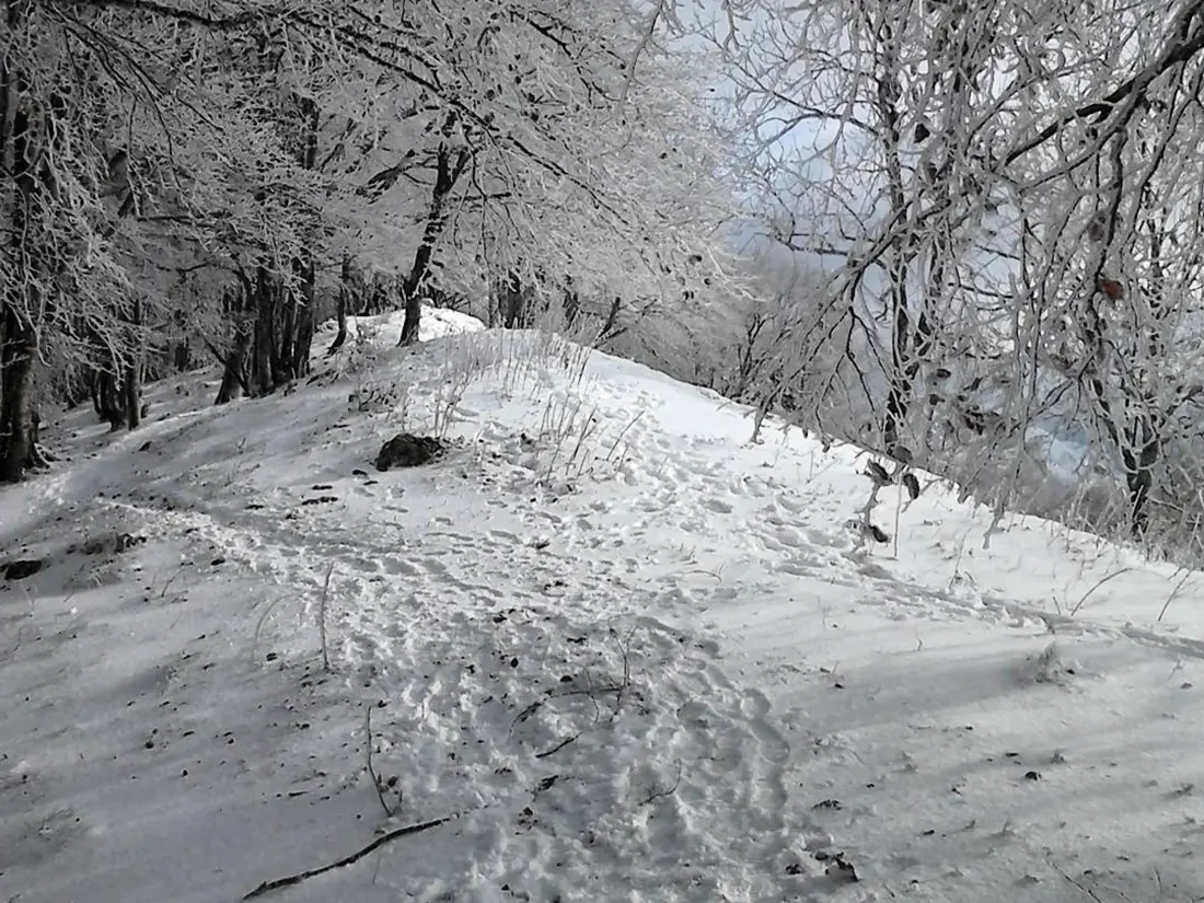 Location de Vacances Cauterets 819