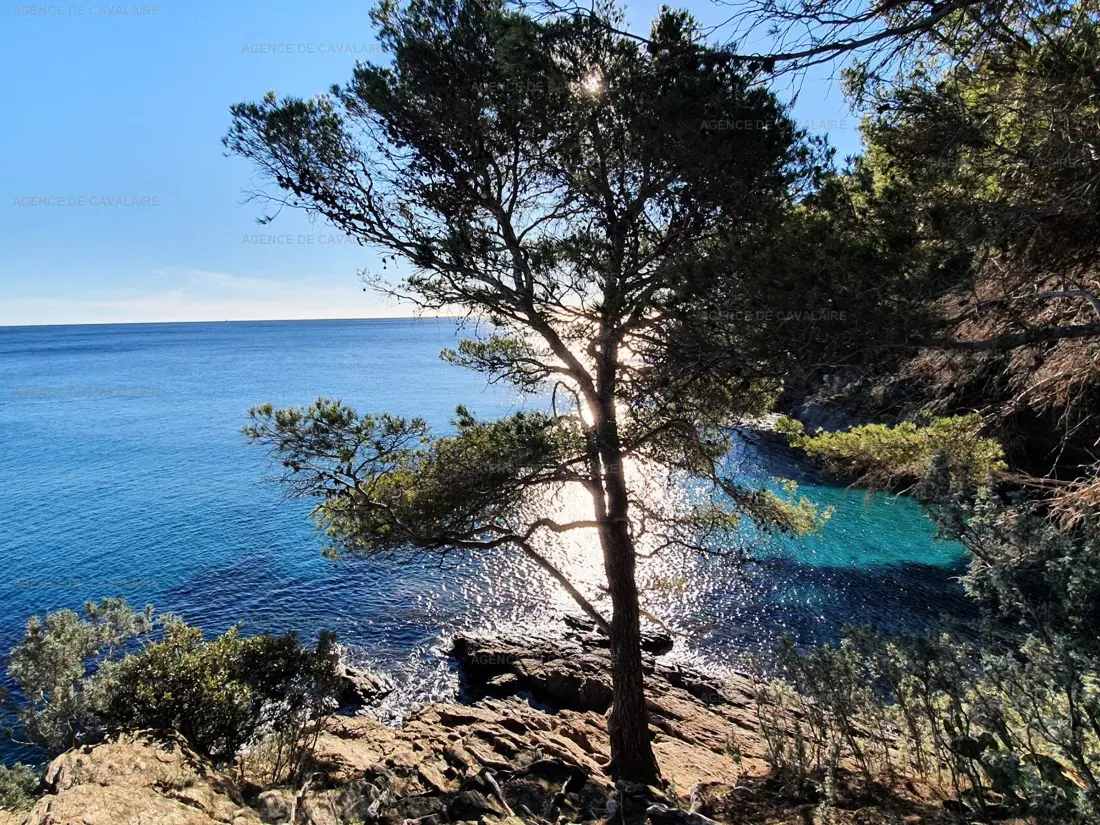Location de Vacances Cavalaire-sur-Mer 285