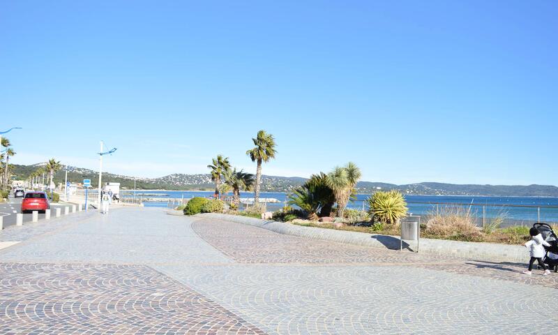 Résidence La Palmeraie - - Cavalaire-sur-Mer - 12