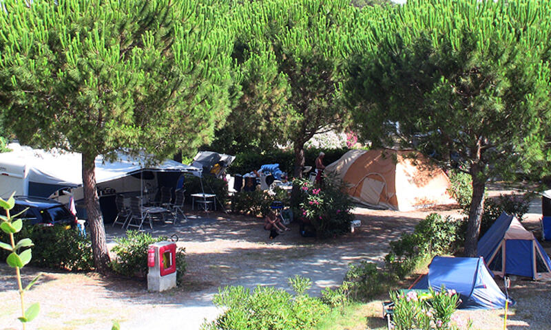 Camping Valle Gaia - Casale Marittimo - 6