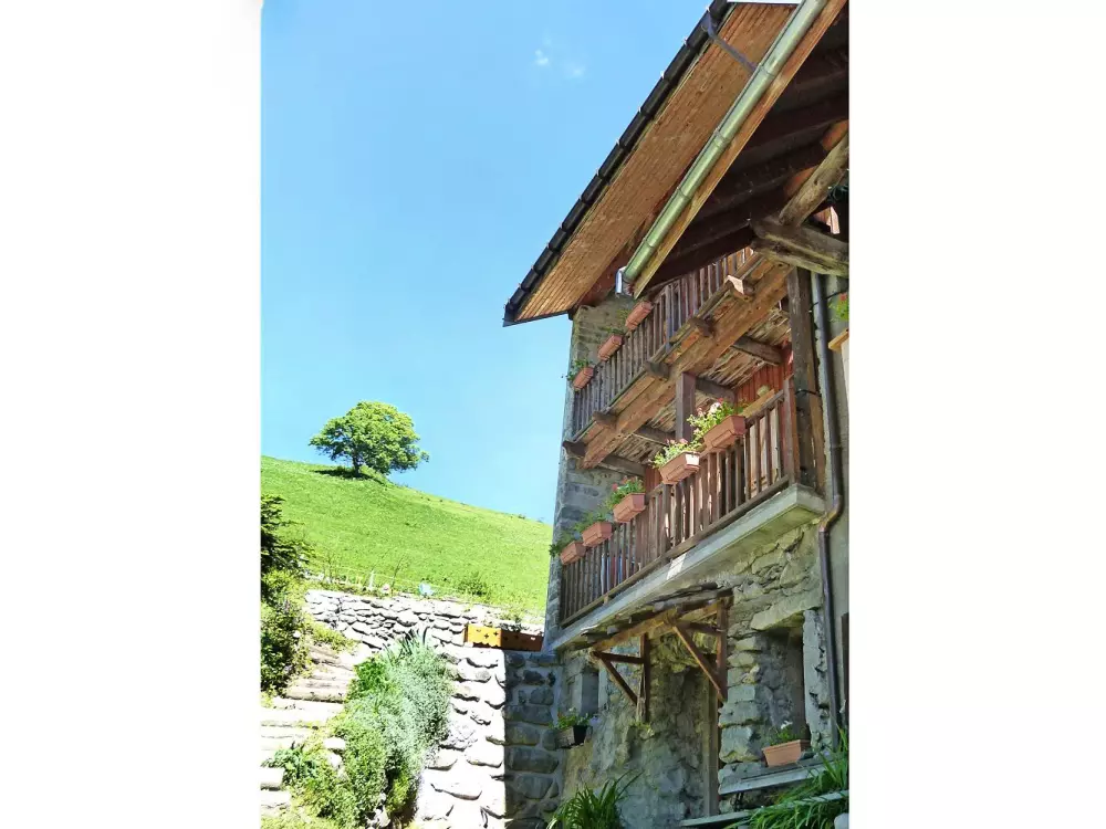 Chalet Vista Mont Blanc