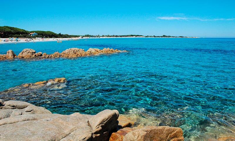 Camping Pineta sul Mare Camping Village - - Cesenatico - 9