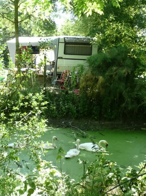 Camping L'Ile Cariot 3 étoiles★★★