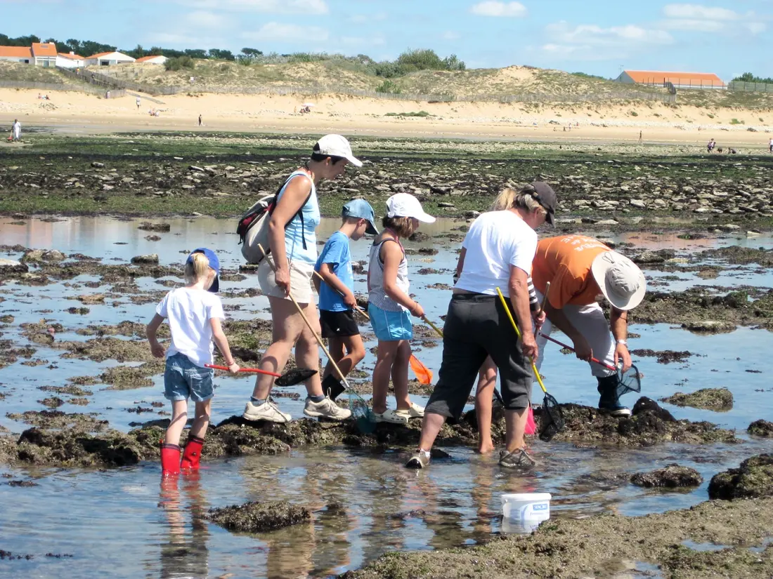 Camping L'Ile Cariot 3 étoiles★★★