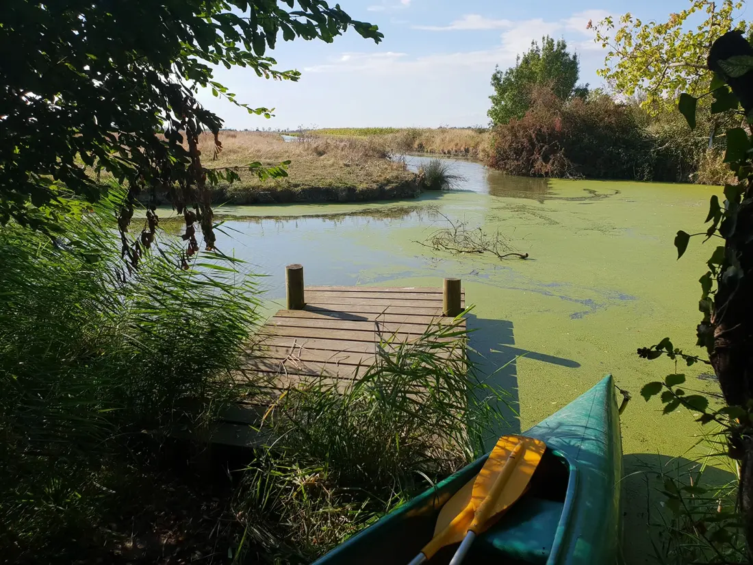 Camping L'Ile Cariot 3 étoiles★★★