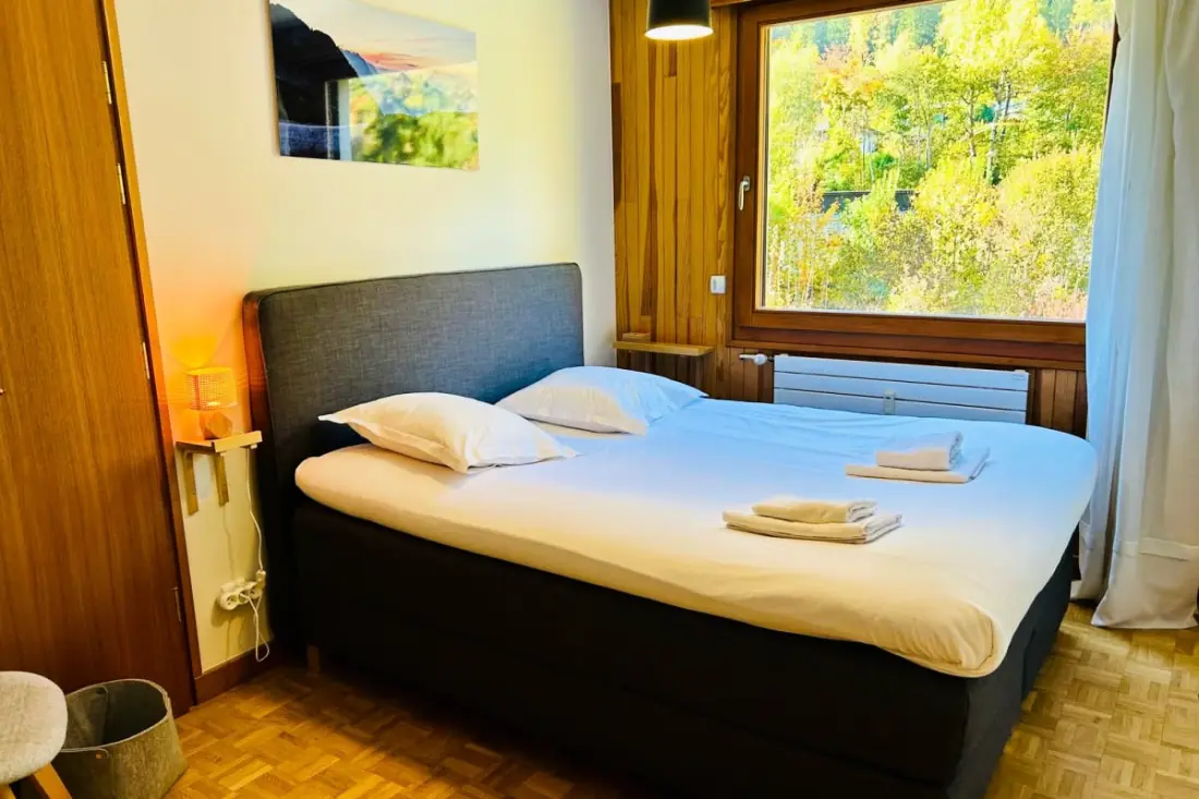 Confort, Nature Et Vue Mont Blanc Exceptionnelle
