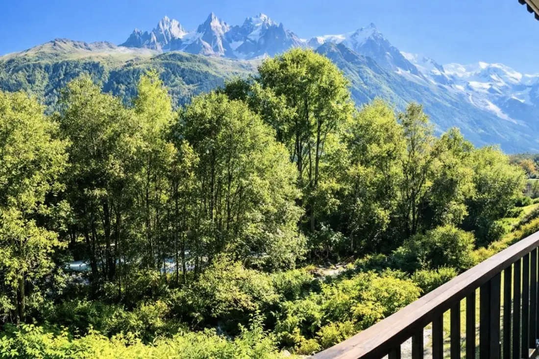 Confort, Nature Et Vue Mont Blanc Exceptionnelle