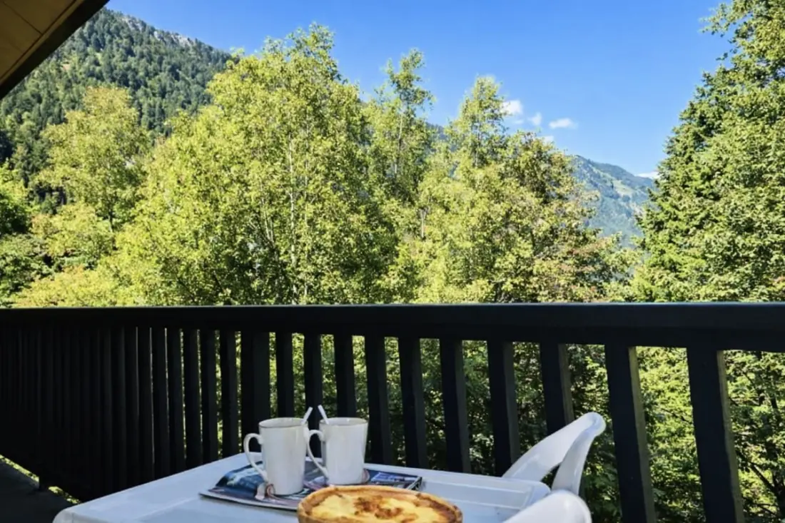 Confort, Nature Et Vue Mont Blanc Exceptionnelle