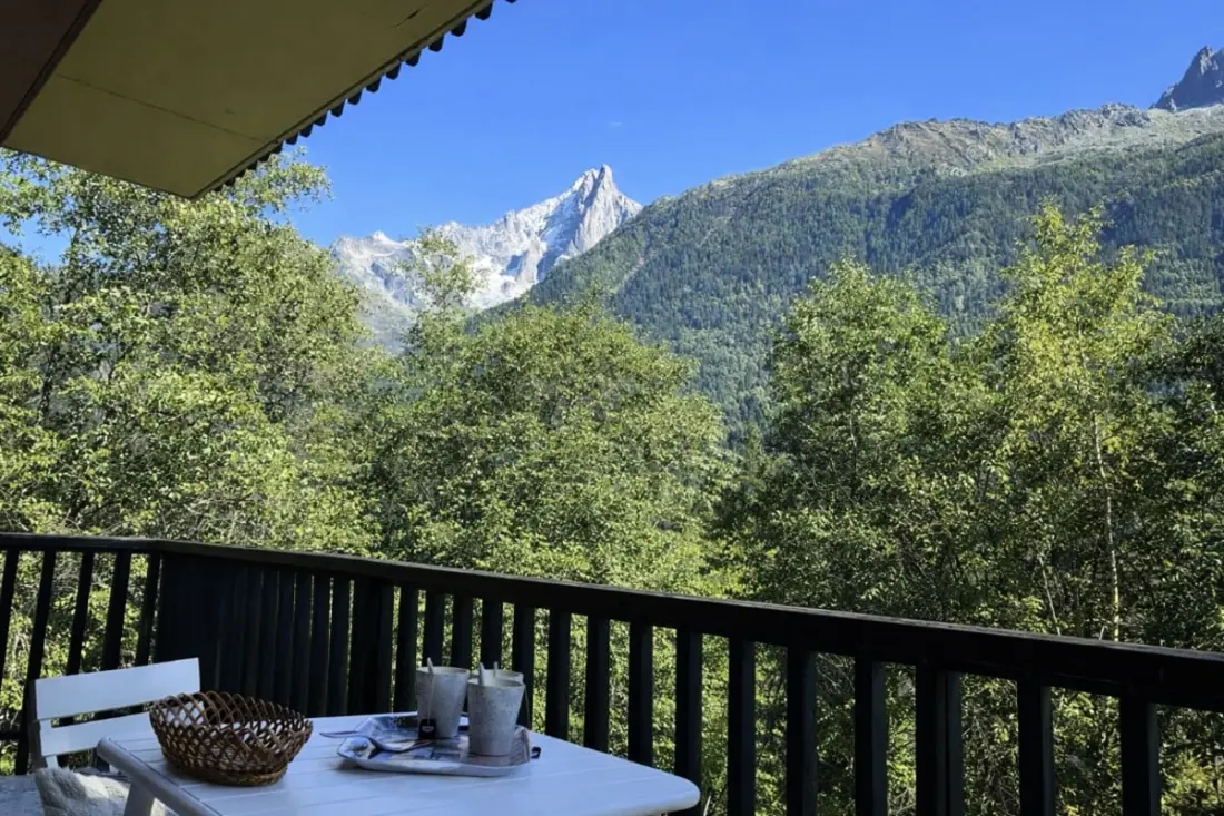 Confort, Nature Et Vue Mont Blanc Exceptionnelle