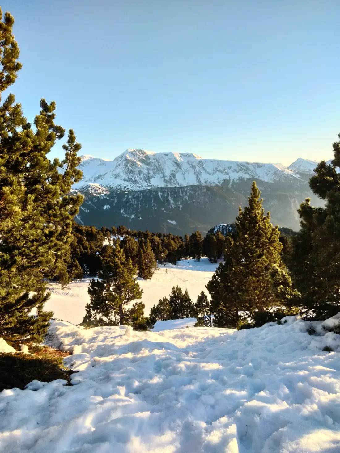 Appartements à Chamrousse