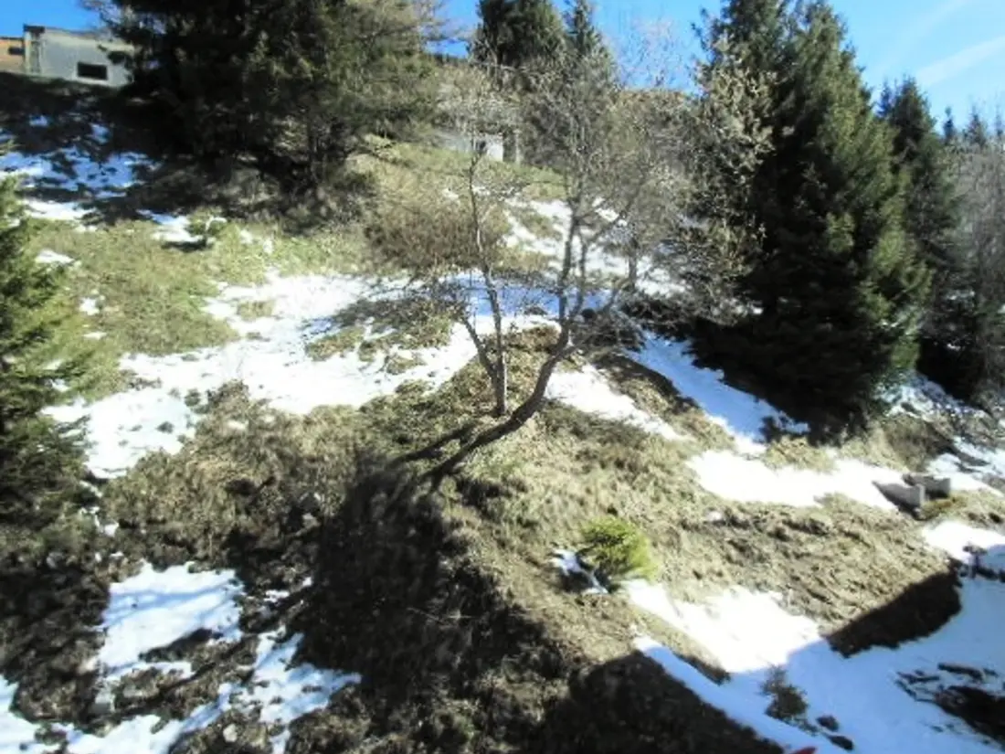 Location de Vacances Chamrousse 111