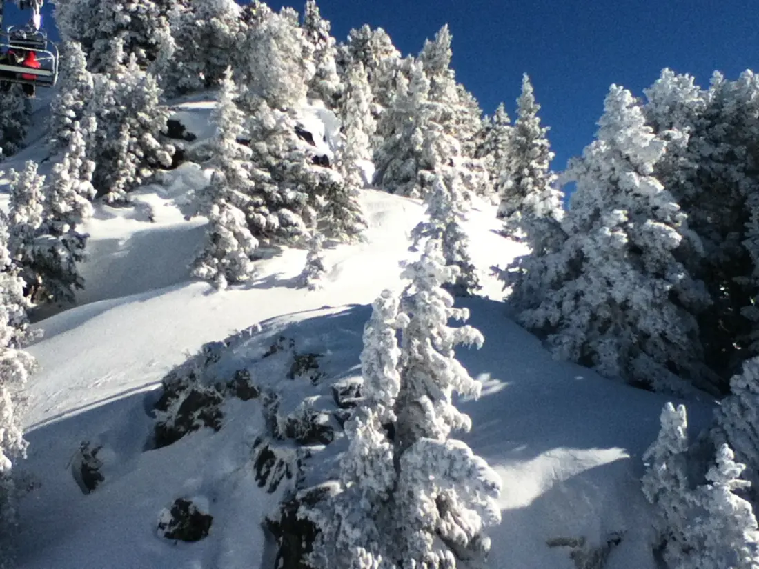 Location de Vacances Chamrousse 129