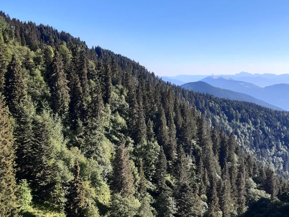 Location de Vacances Chamrousse 157